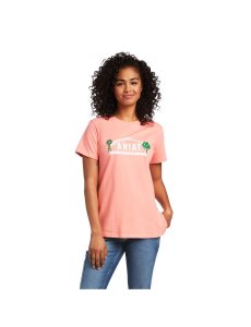 Ropa De Trabajo Ariat Rebar Algodon Strong Farm Estampadas T Shirts Mujer Multicolor | FSWO81096