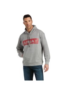 Sudadera Con Capucha Ariat Basic Sweatshirt Hombre Naranjas | GFSR75438