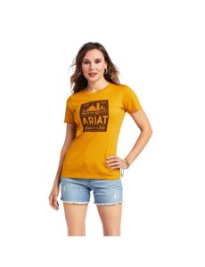 Tops Ariat Farmland Mujer Multicolor | ICPK92057